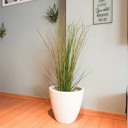 Quiet & Cozy San Fernando Appartement